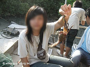 這是活生生的螃蟹，要小心才不會被夾到手。