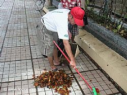 點圖放大