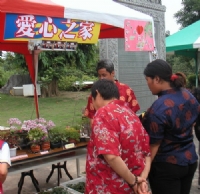 點圖放大