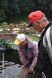 點圖放大